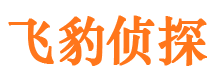 乐至市侦探调查公司